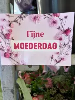 LANG LEVE ALLE MAMA’S 🌹❤️